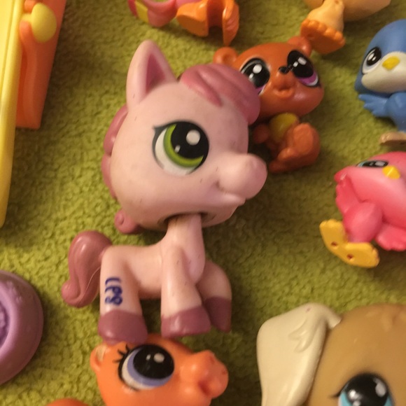 Meet your Posher, Dorothy - Picture 1 of 1